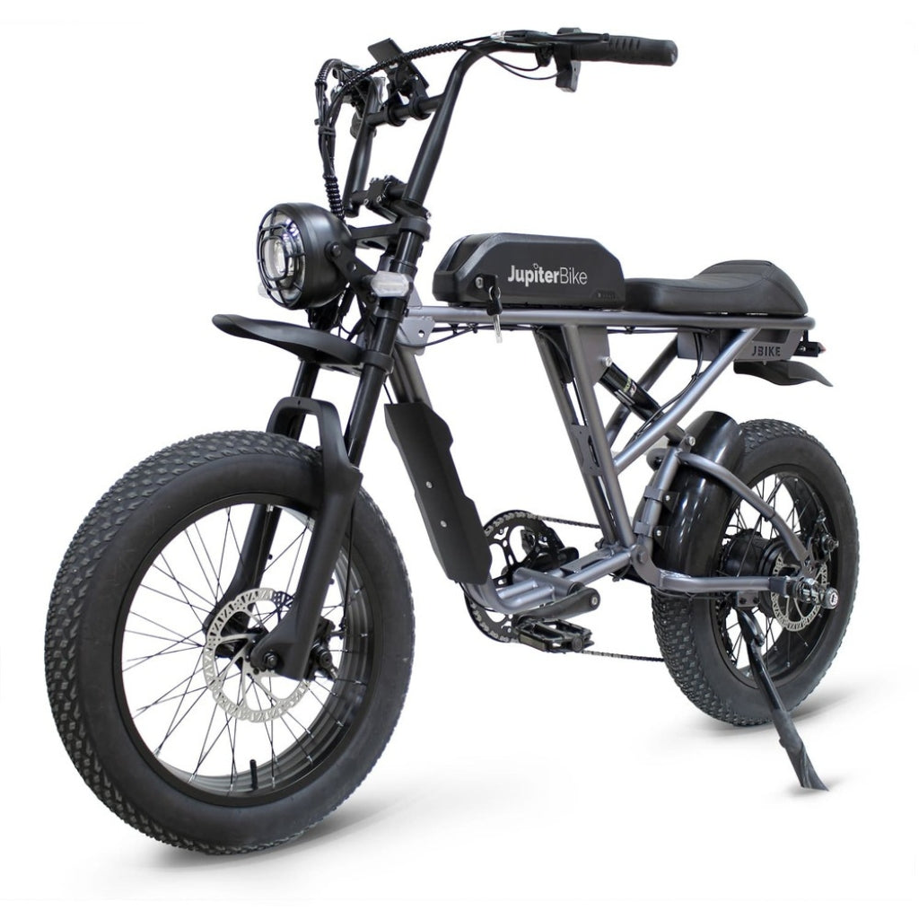 Powerful Electric Bike Rogue - Electriibe