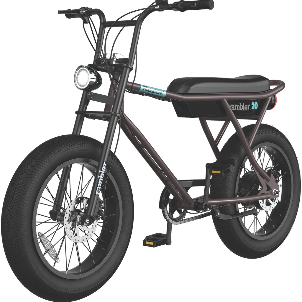 Retro-Style-Rambler-20-Electric-Bike-electriibe.jpg